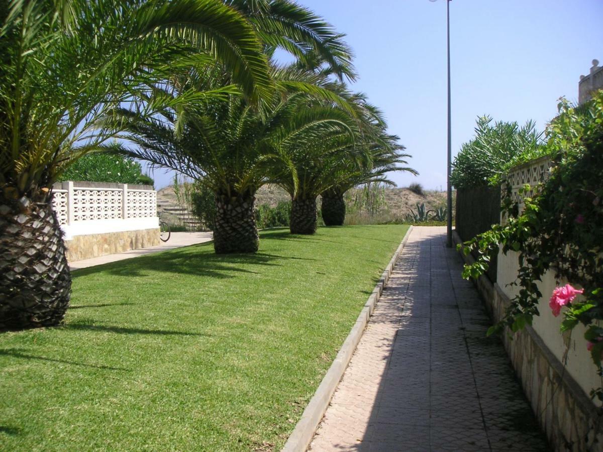 Frente Al Mar - Velazquez Villa Олива Екстериор снимка