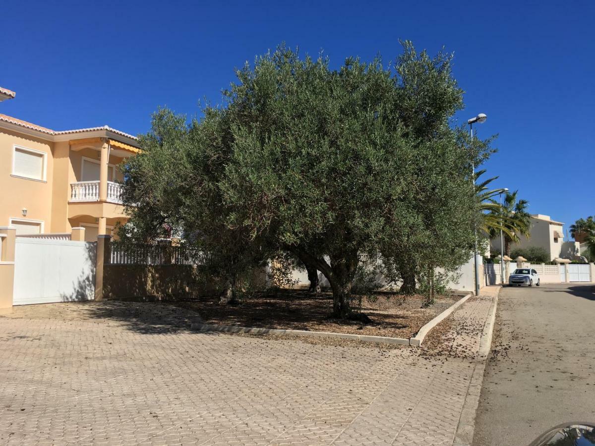 Frente Al Mar - Velazquez Villa Олива Екстериор снимка